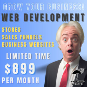 Web development, Online Store, Portfolio website